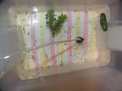 PICT0011.JPG