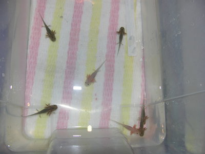 PICT0043.JPG
