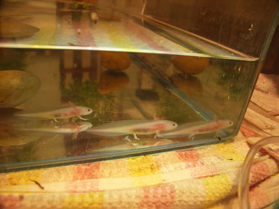 PICT0046.JPG