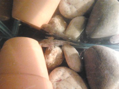 2013-02-22 22.36.09.jpg