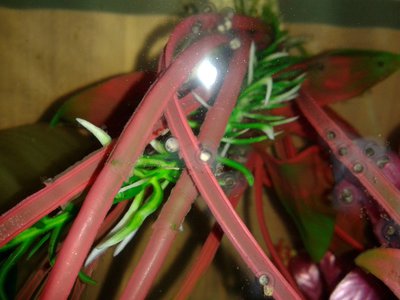 20130401_230512_1.jpg