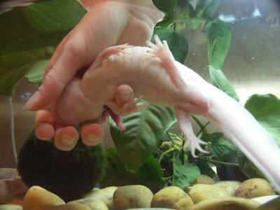 PICT0034.JPG