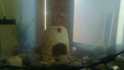 2013-05-08-027.jpg