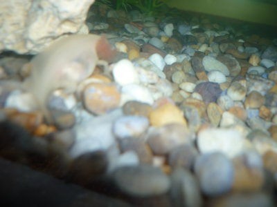 P1020440.JPG