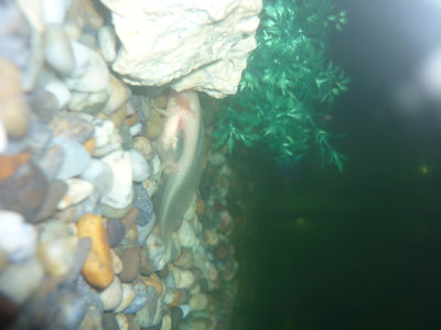 P1020442.JPG