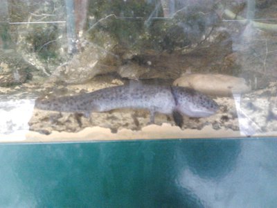 2013-05-14 15.42.22.jpg