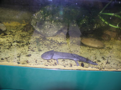PICT0097.JPG