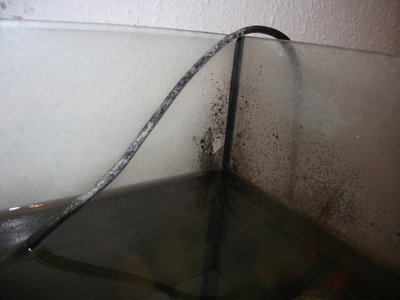 DSCF2325.JPG