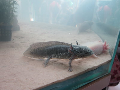IMG_4021.jpg